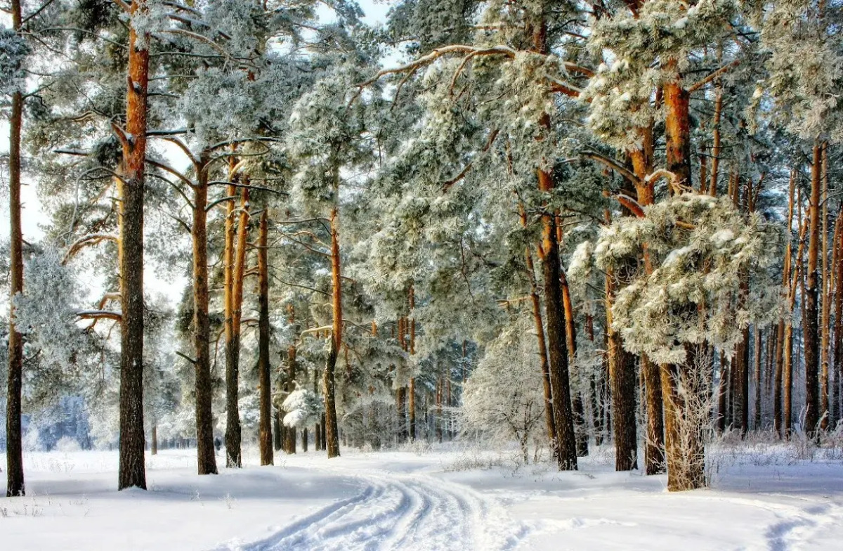 Гостевой Дом DUBRAVA