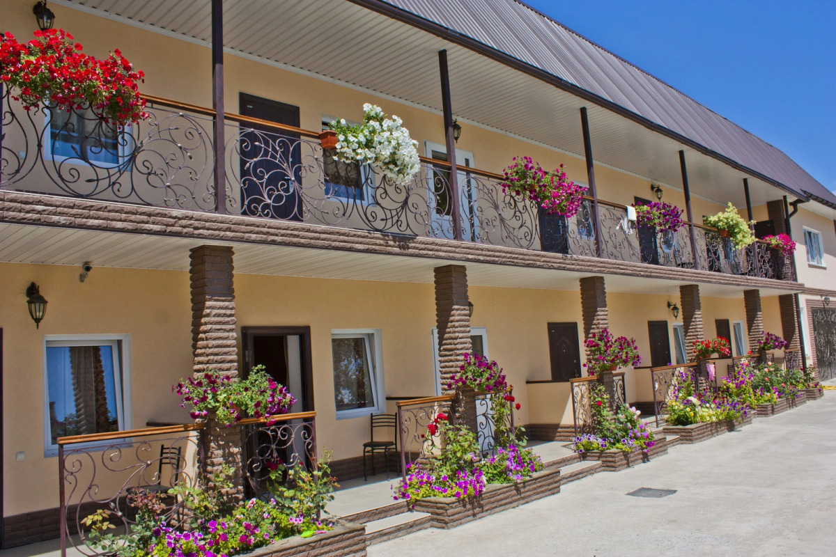 Отель Оазис