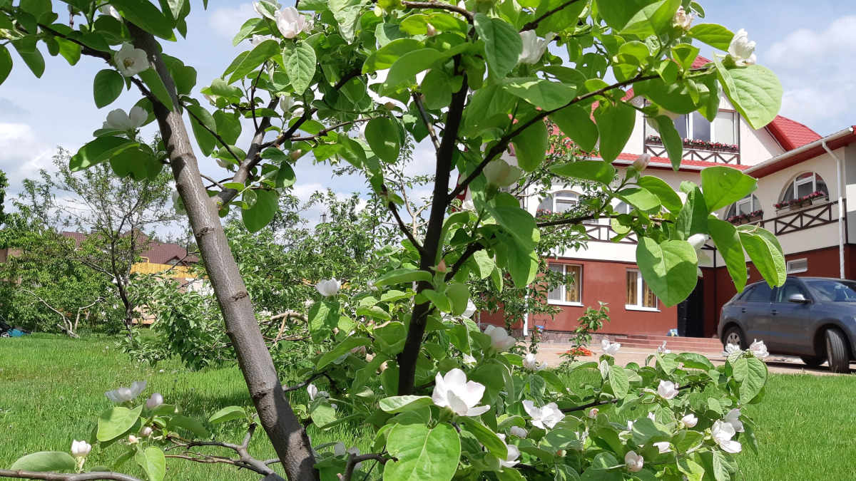 Гостевой дом на Есенина