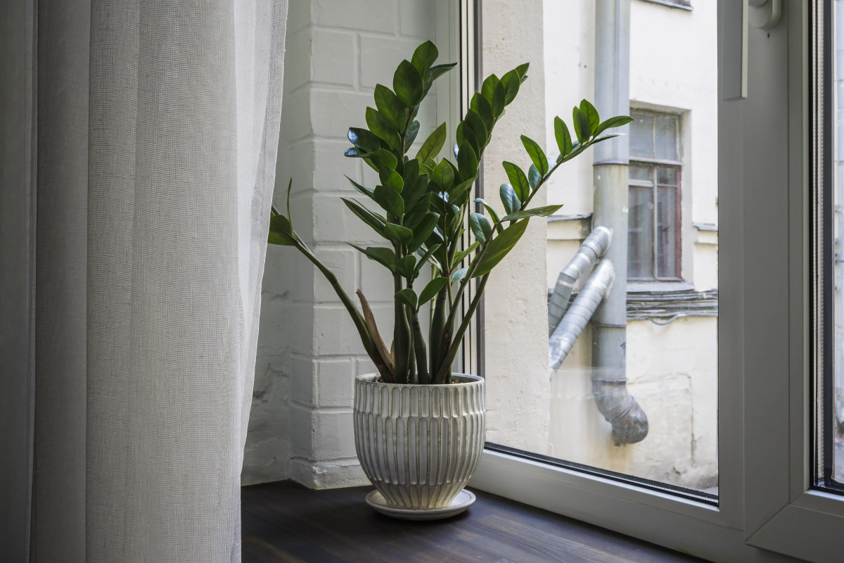 Апартаменты с собственной ванной