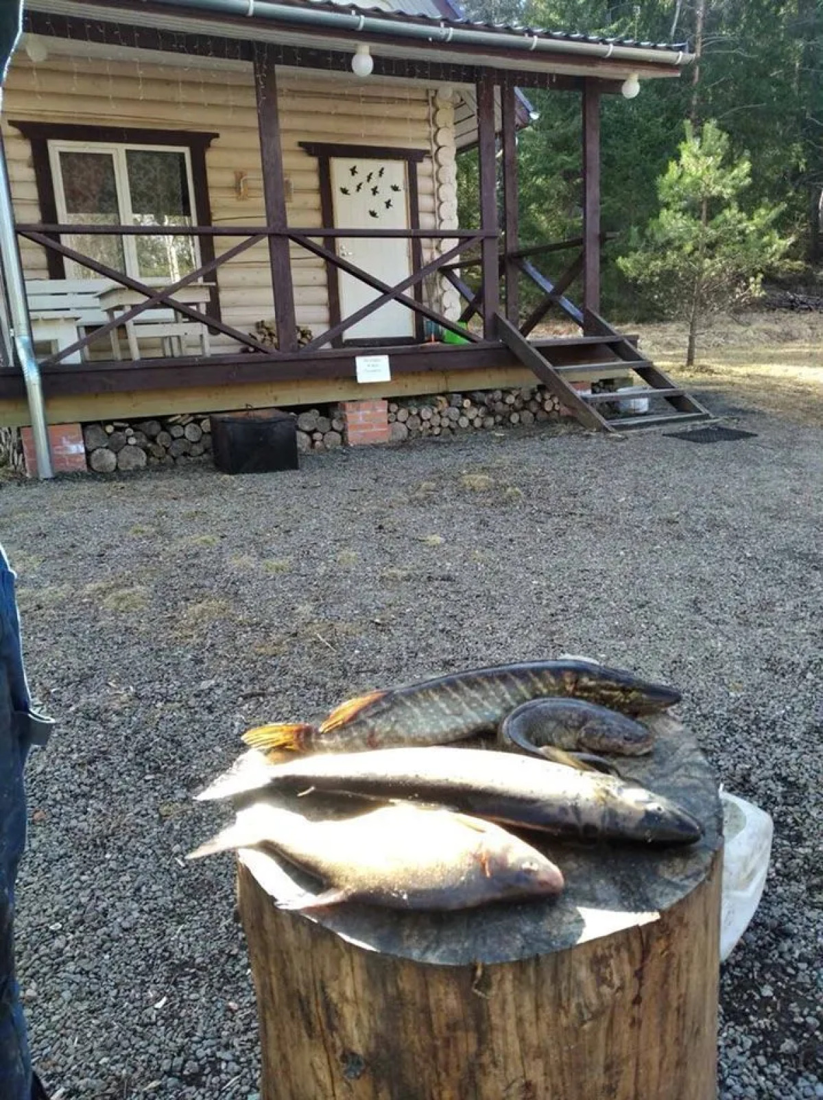 Частный дом РУСЬ