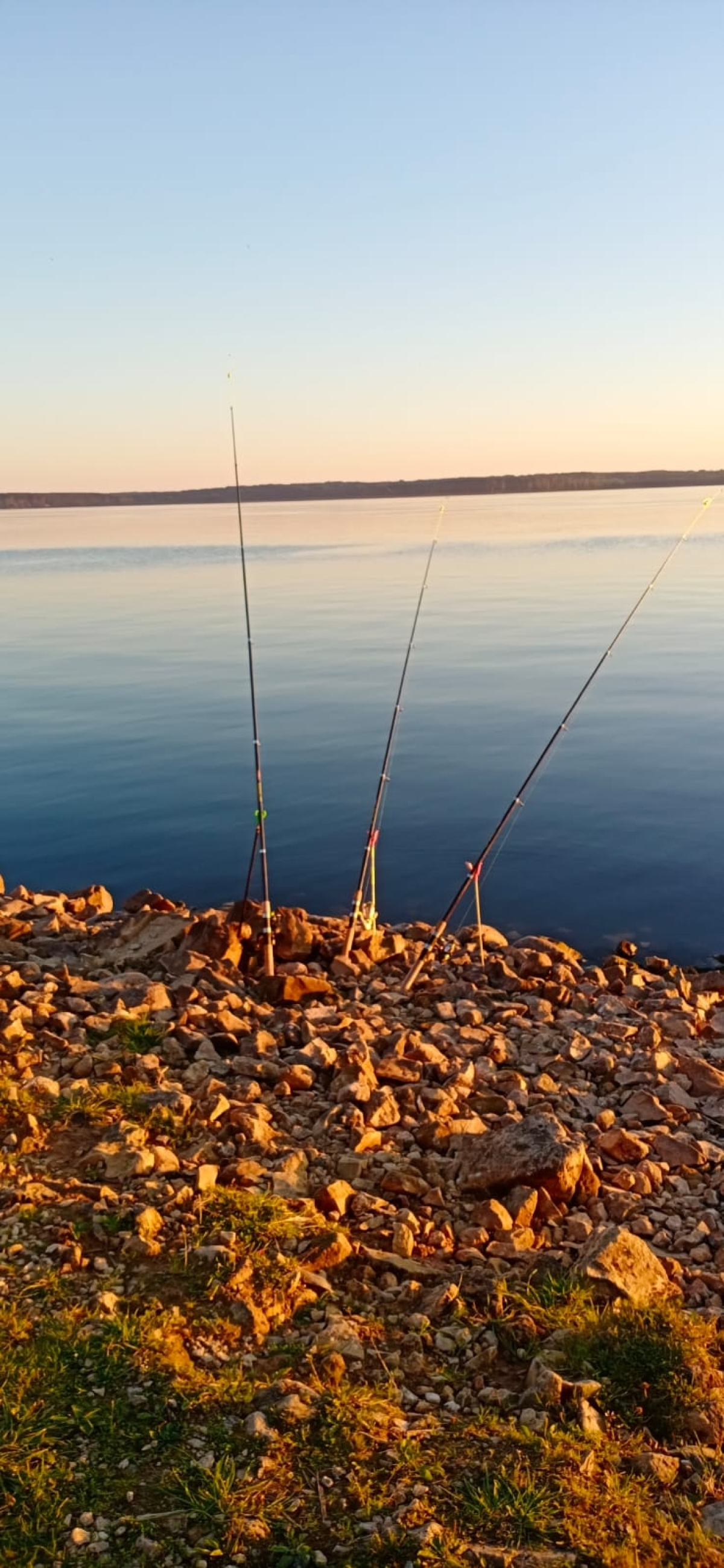 Апартаменты Отдых на Селигере турбаза Чайка