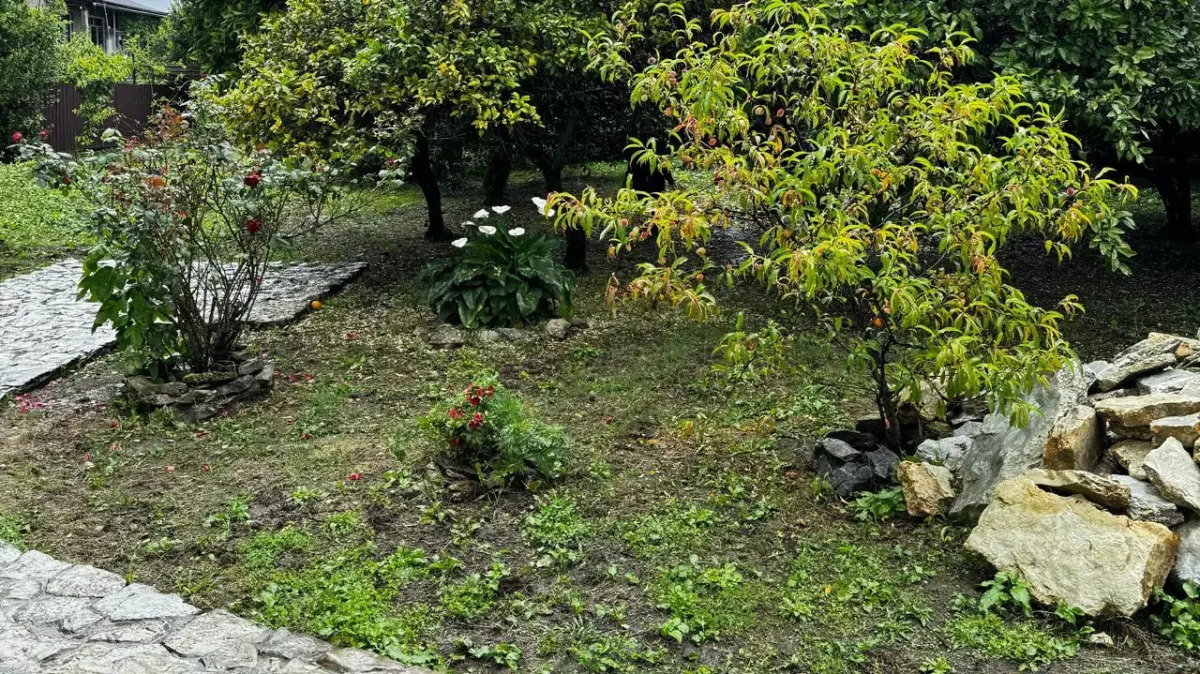 Гостевой дом Mane