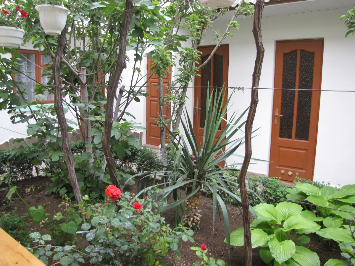 Гостевой Дом У Чижика