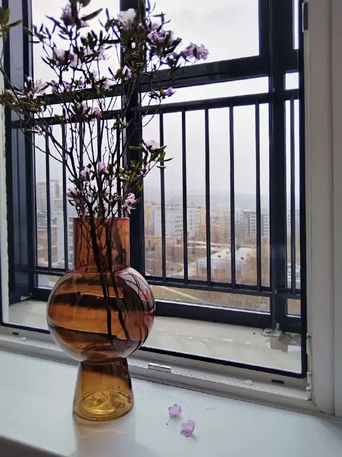 Квартира с видом на Сопку