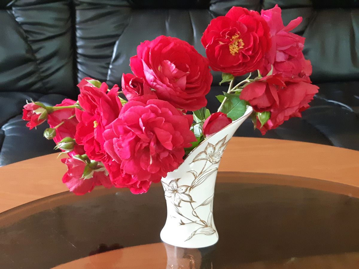 Гостиный Дом Усадьба