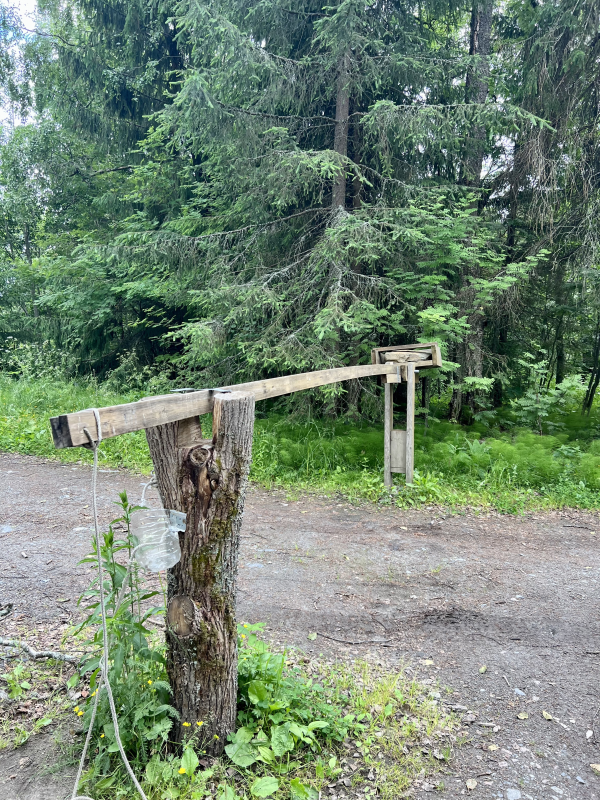 Гостевой дом Ладога Рядом