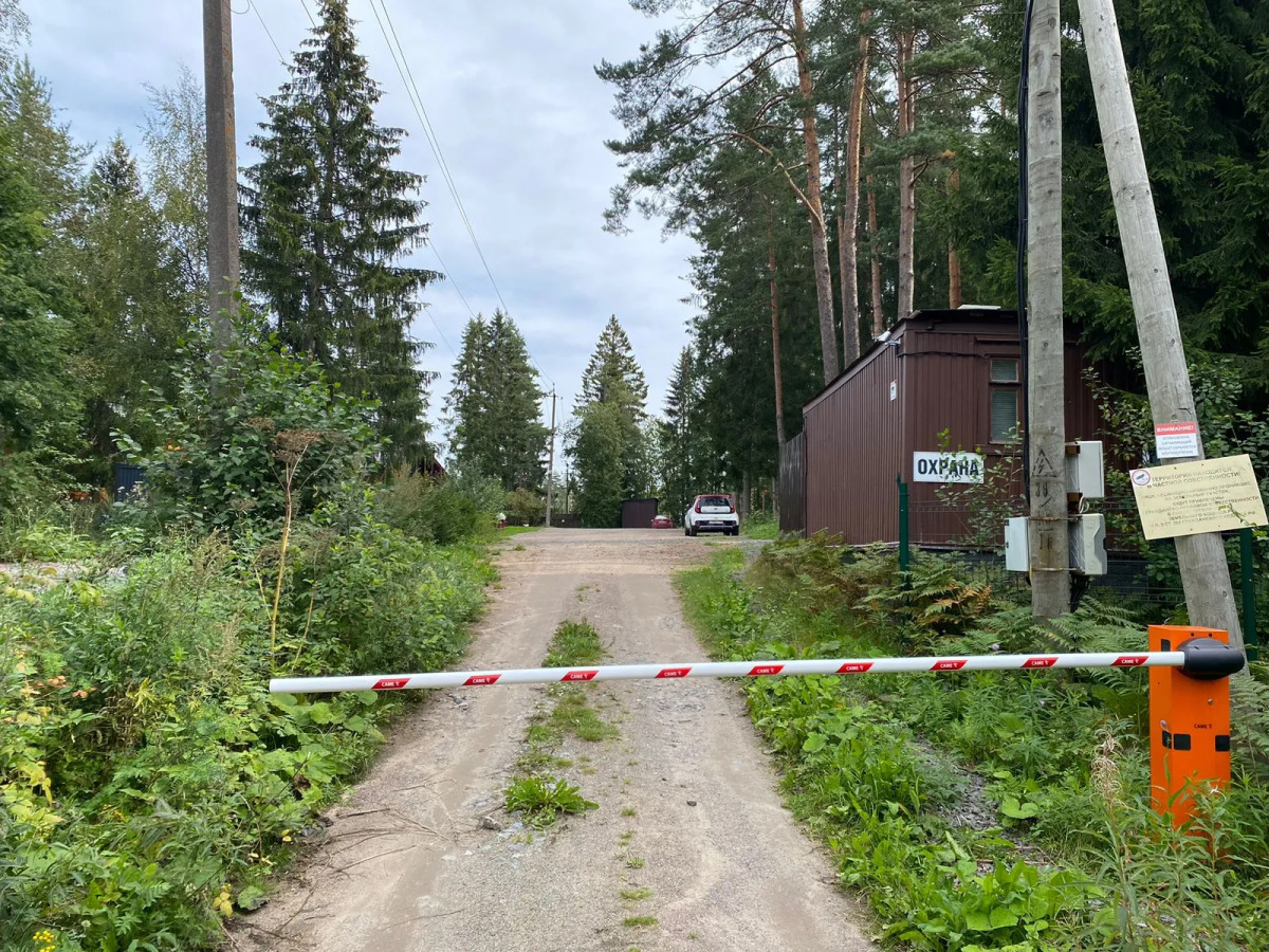 Гостевой дом Green Forest у Игоры