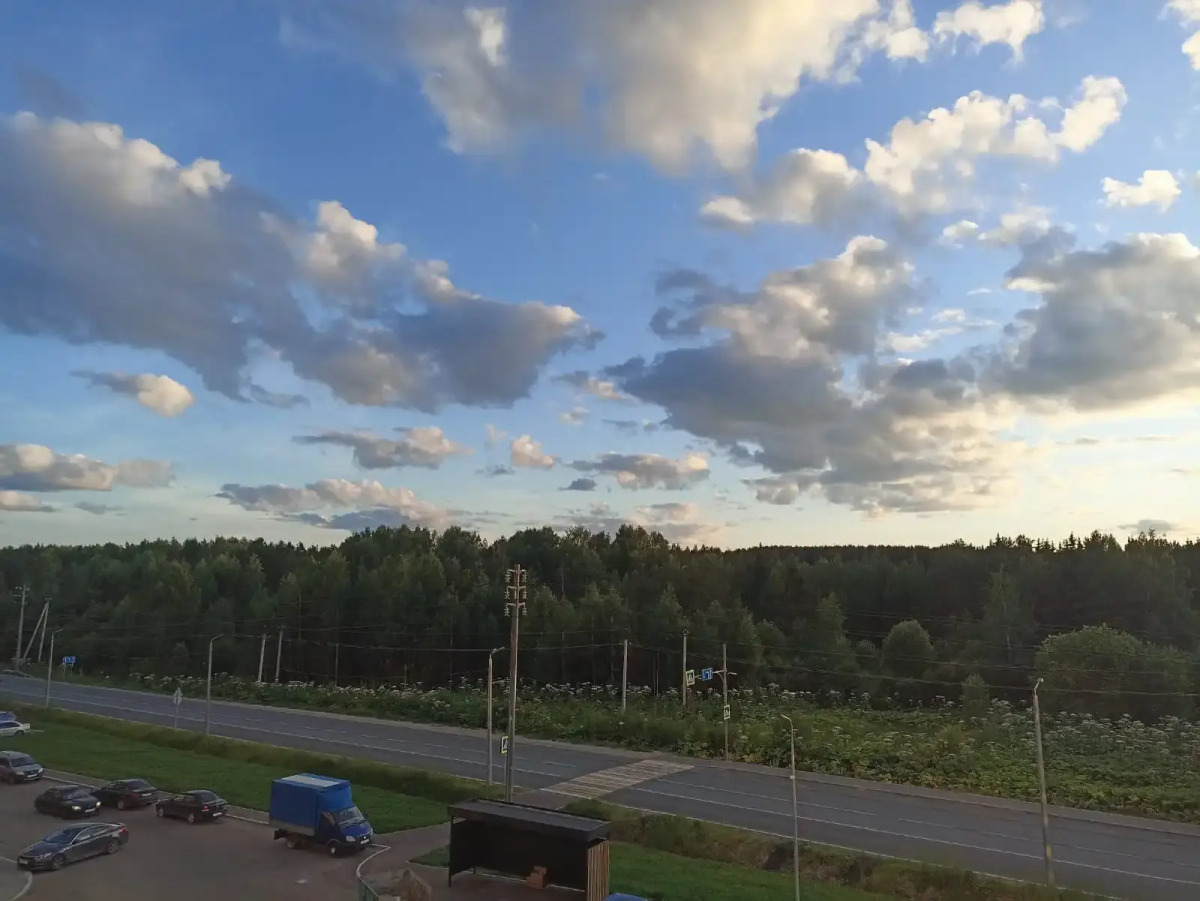 Квартира Комфорт для Успеха с Видом на Лес