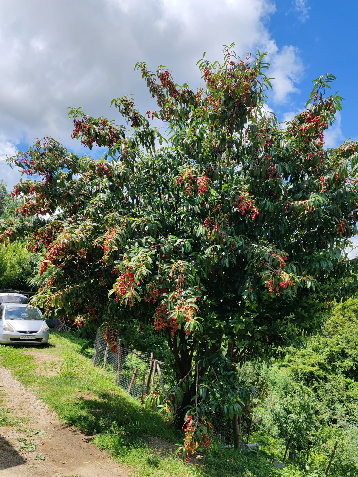 Гостевой дом  У Андрея и Анны