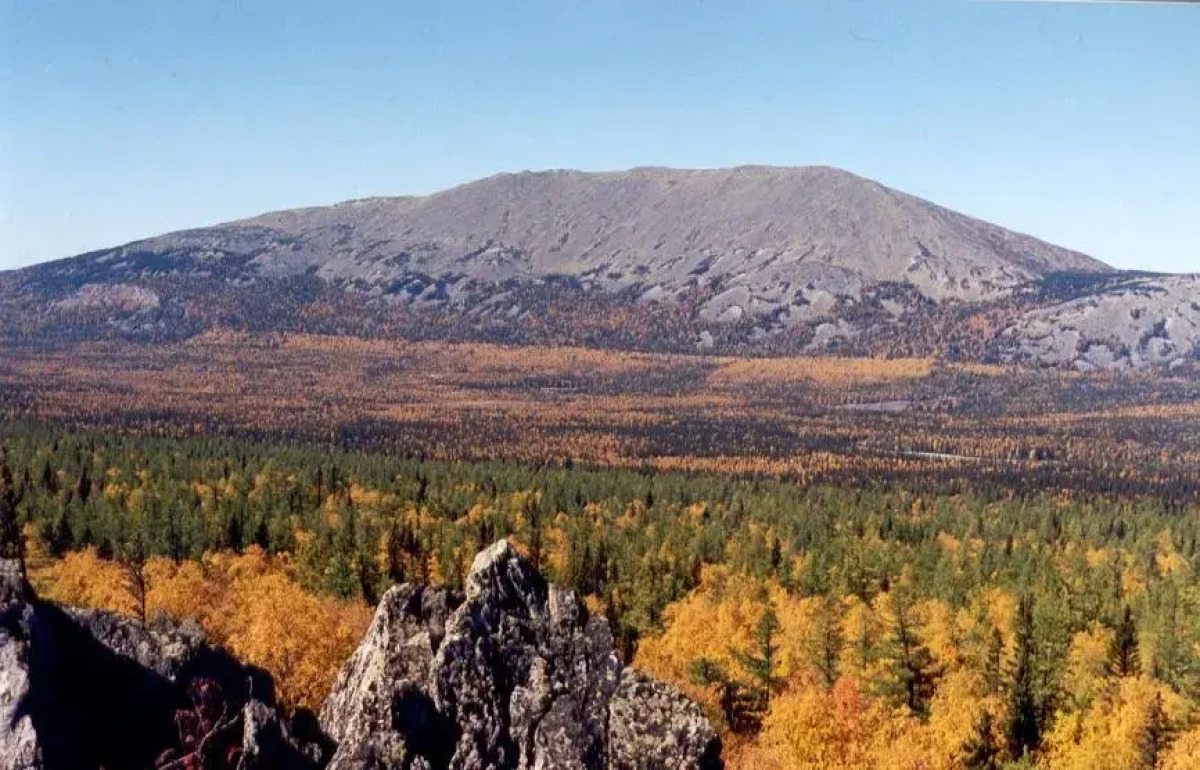 Коттеджный комплекс Таежное