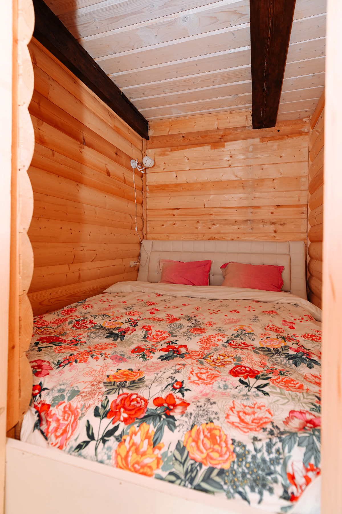 Гостевой Дом Замок в Лесу Пушкинские Горы