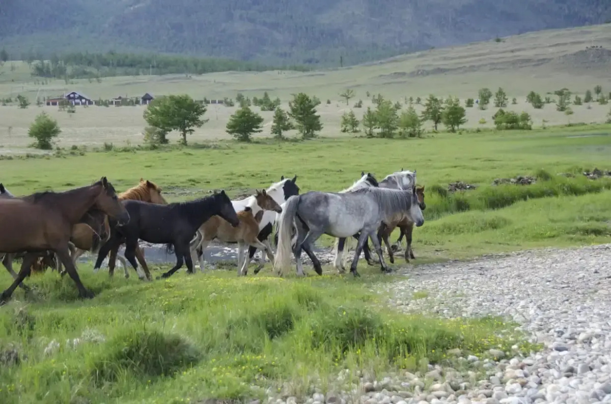 Гостевой дом Мухтуя