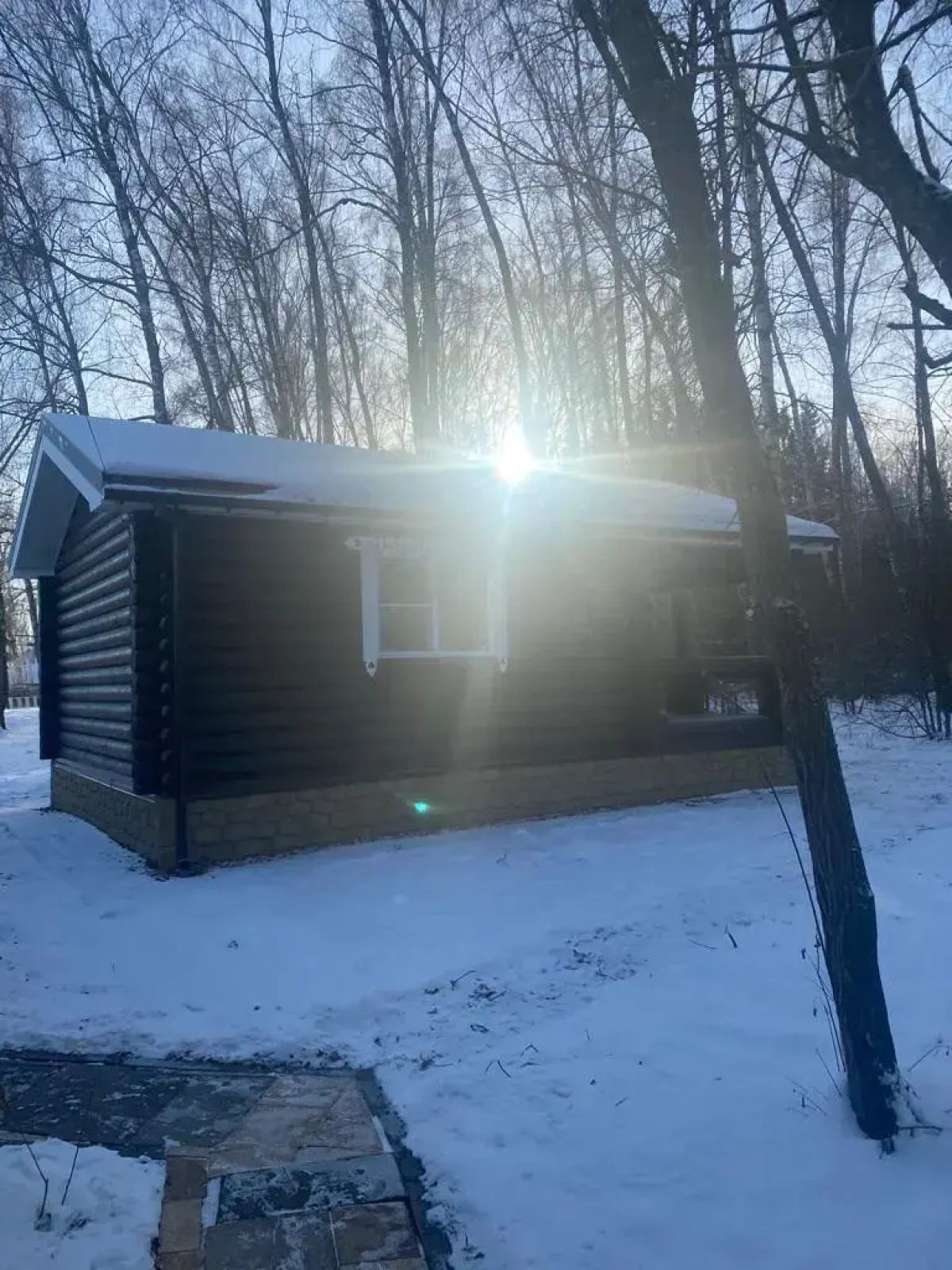 Частный Дом Уютный Домик в Лесу у Пруда