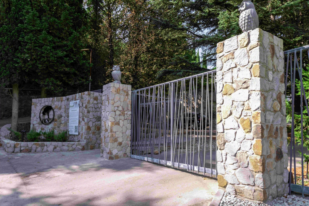 Санаторий Лес