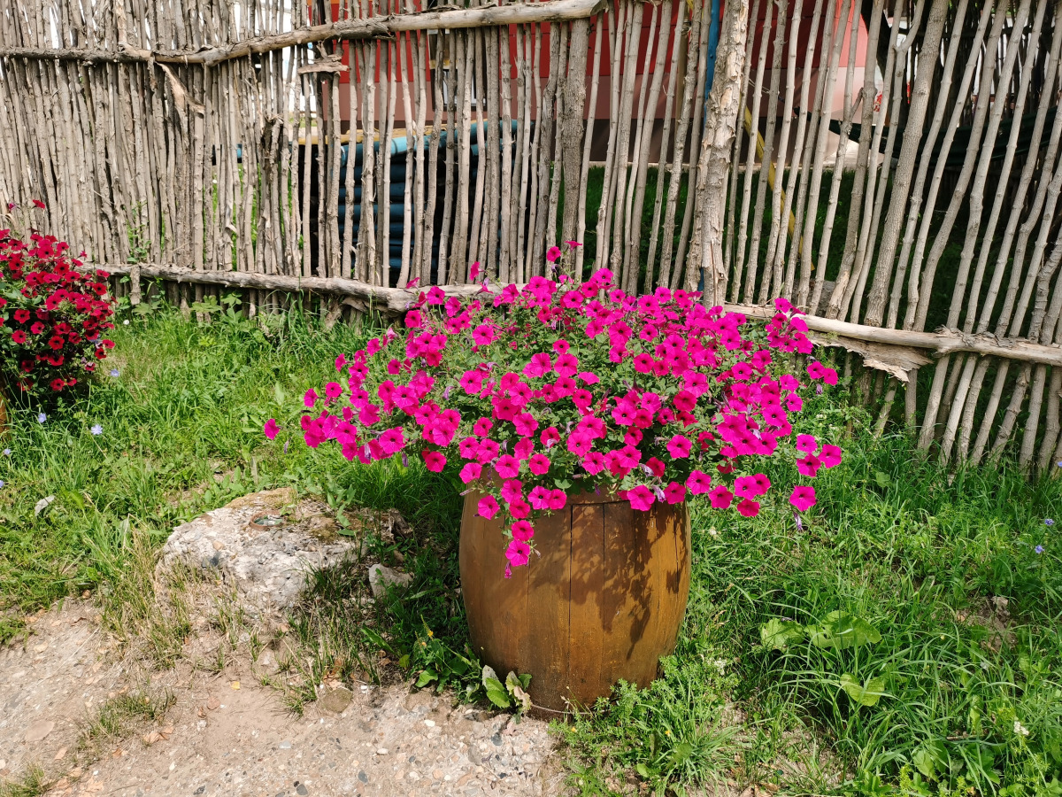 Гостиница Имидж