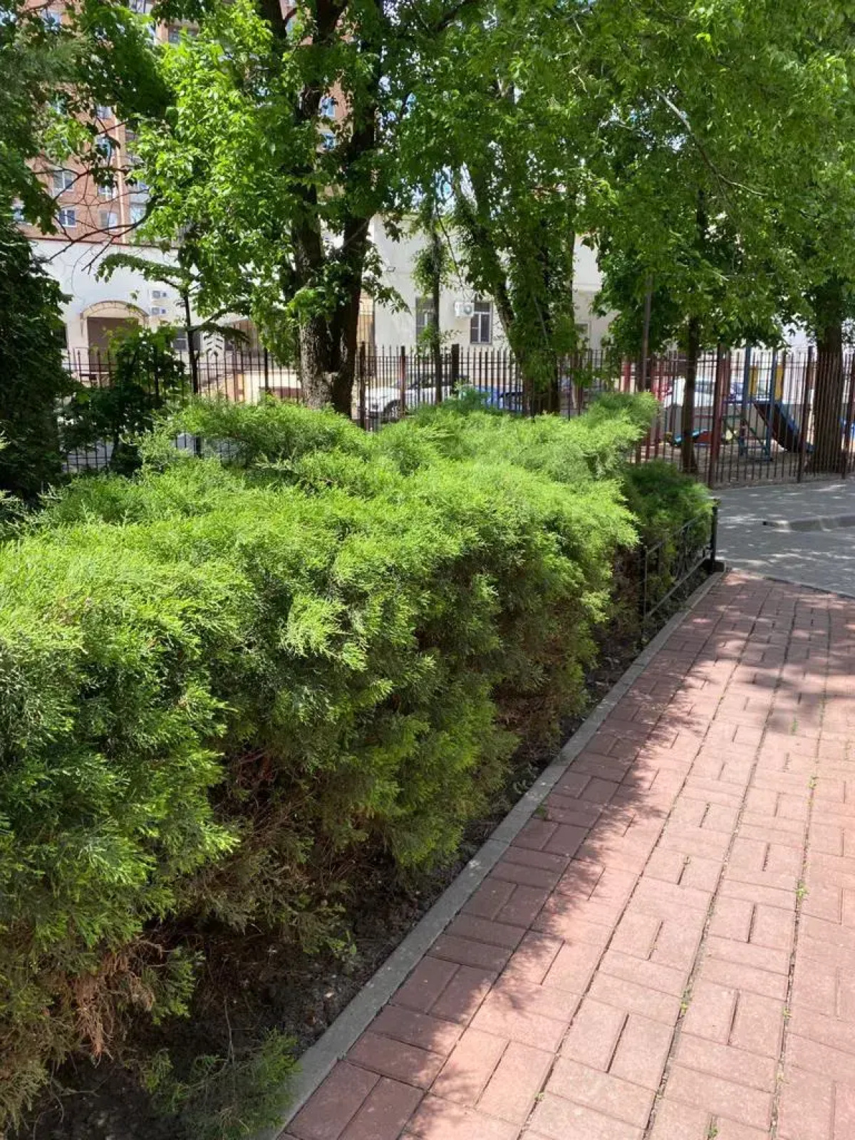 Мини-отель Толедо