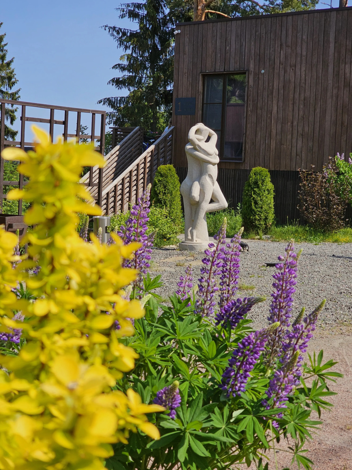 Коттедж Черничный Склон Forest House