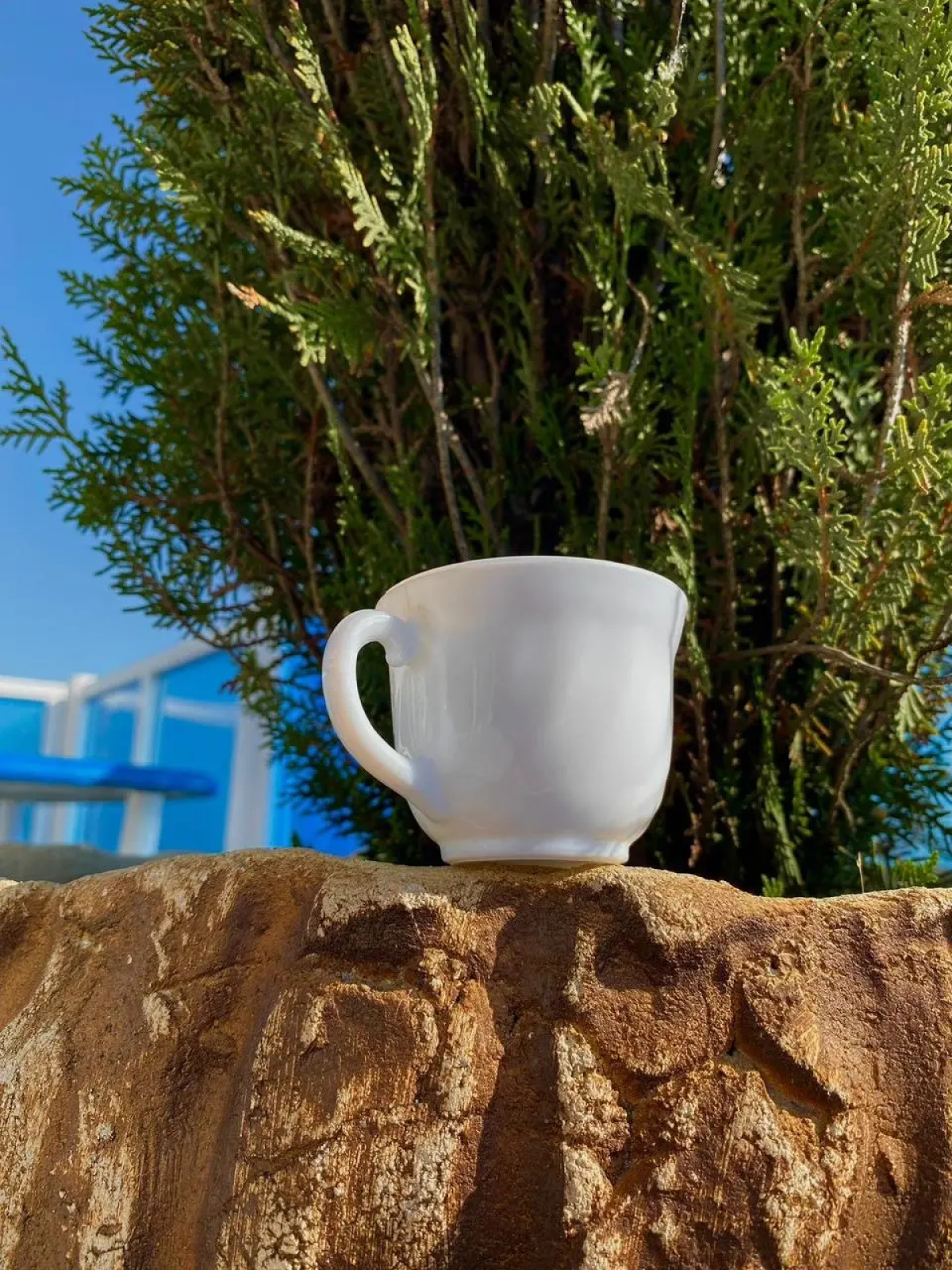 Гостевой дом Жемчужина