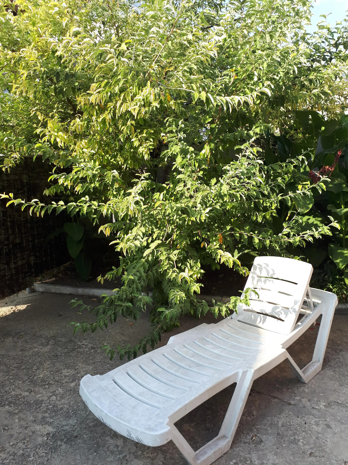 Гостевой Дом Дежавю