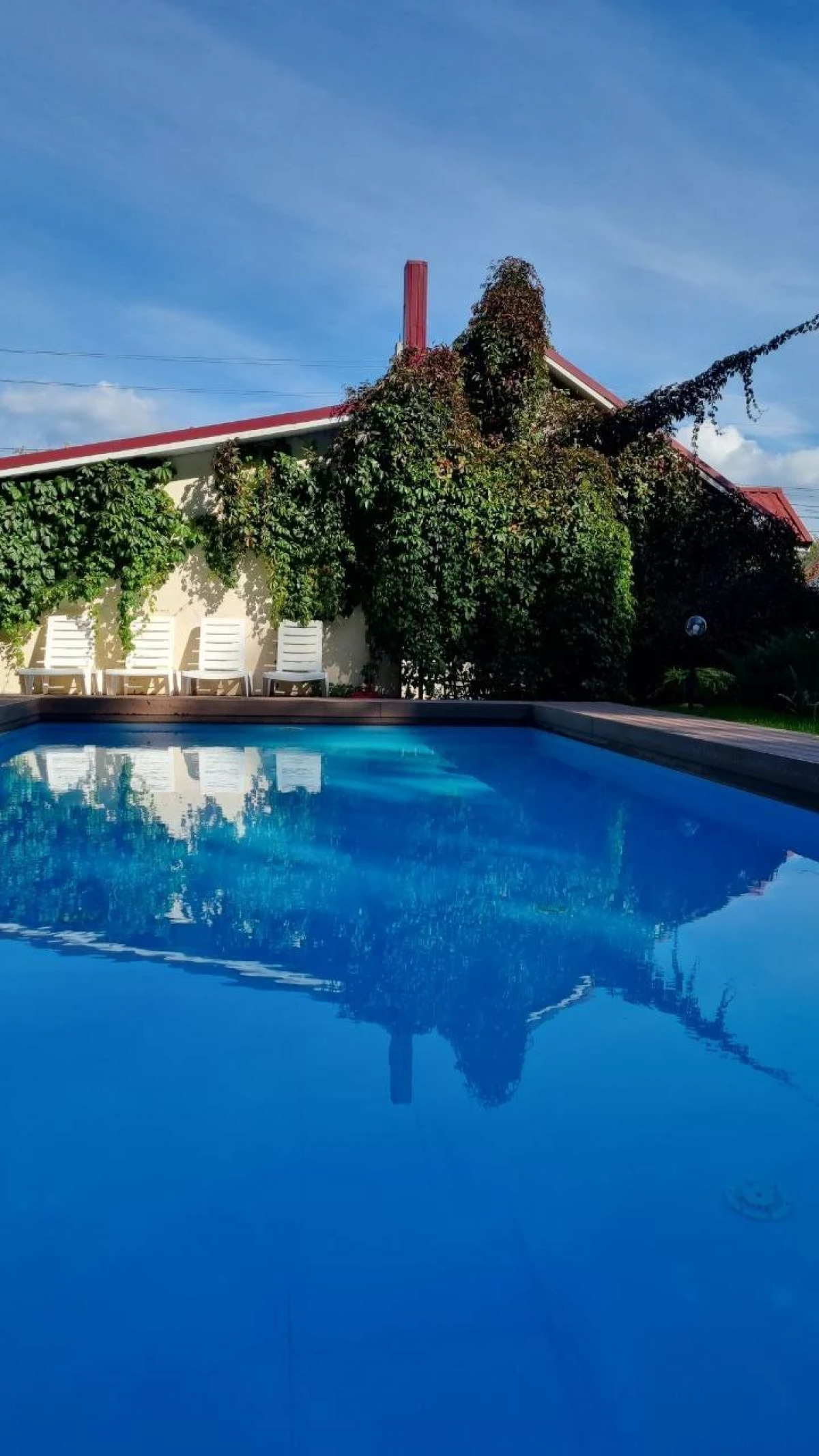 Гостевой Дом Каменный Цветок