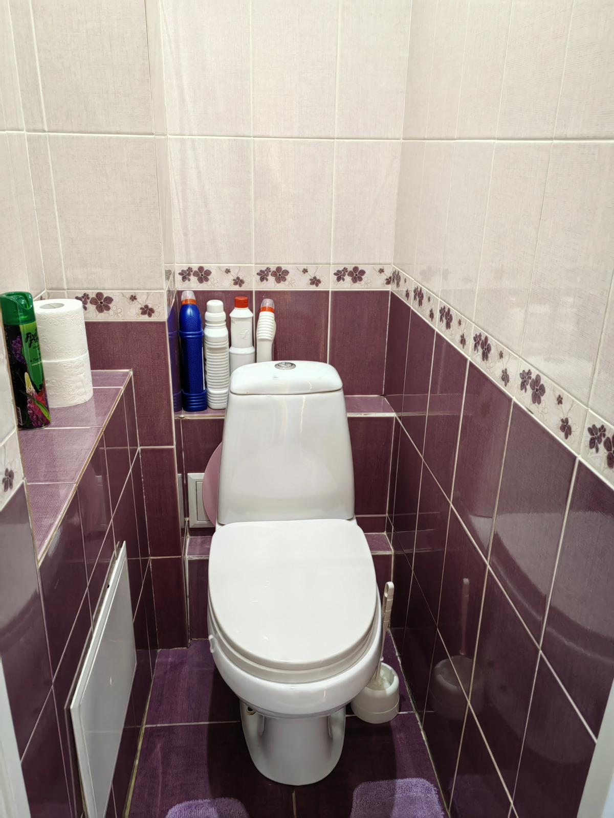 Апартаменты трехкомнатные  у Елены