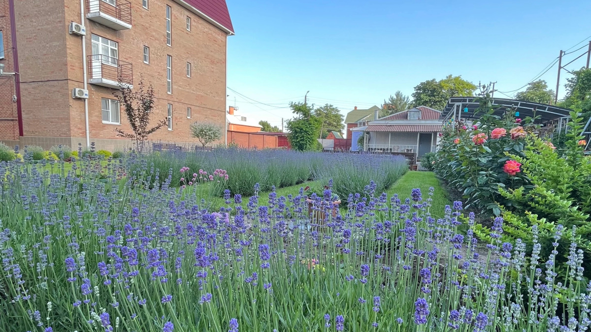 Отель Крыжовник