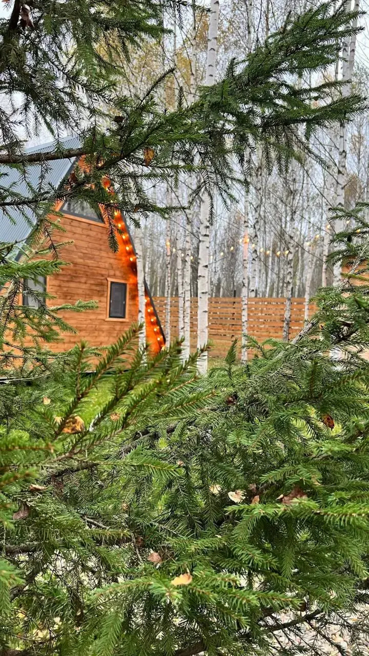 Гостевой дом My little forest