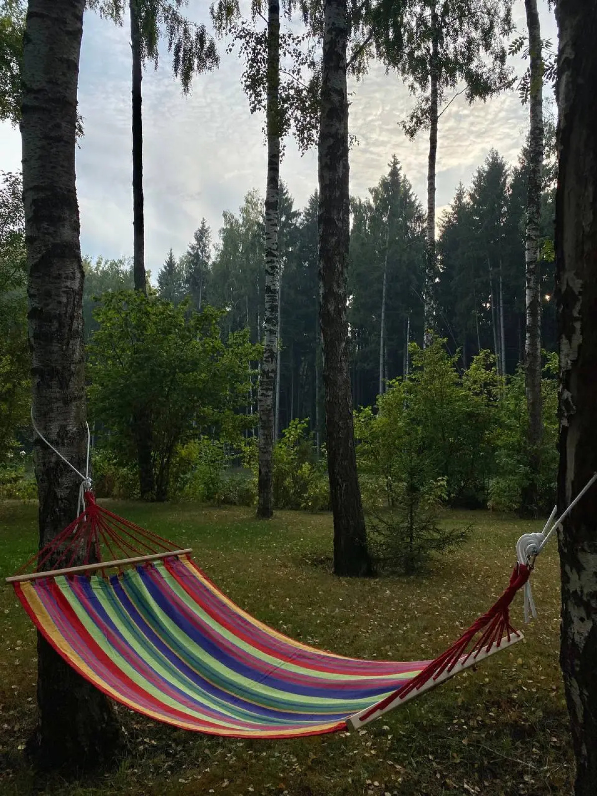 Частный Дом Уютный Домик в Лесу у Пруда