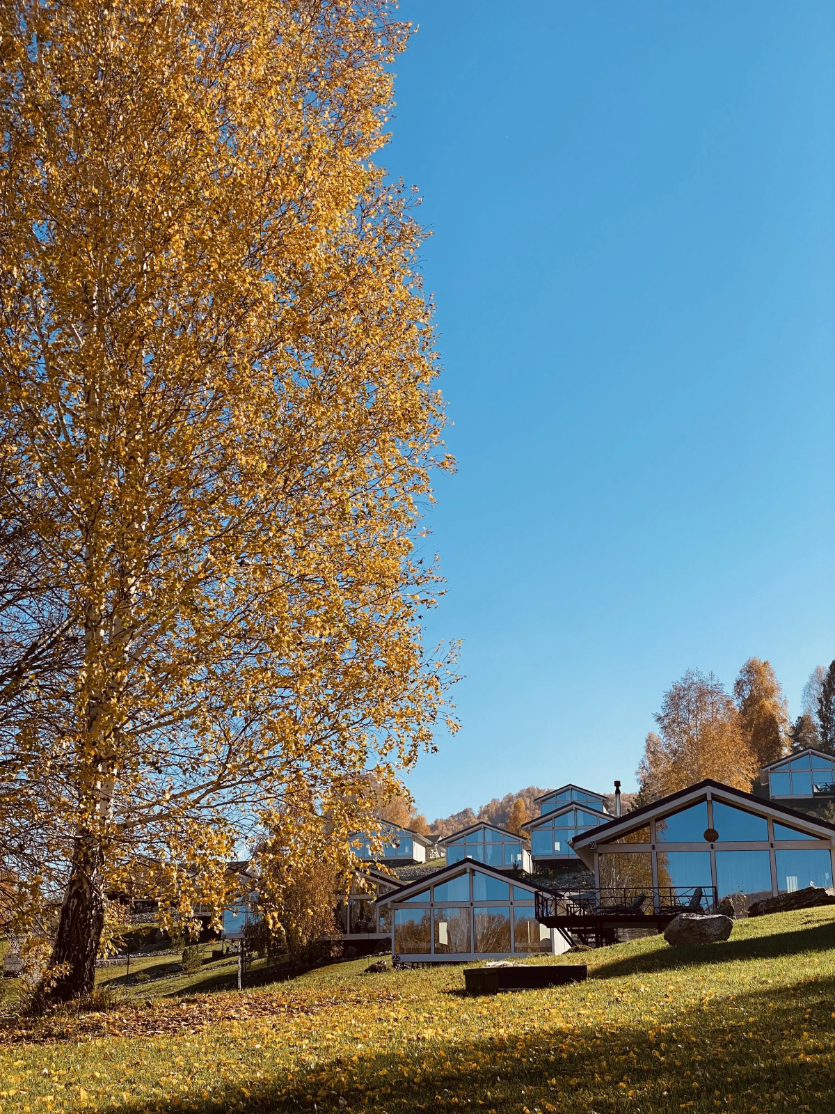 Шале Алтай Пэлас