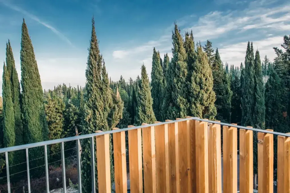 Отель Park Hotel Tsinandali Estate