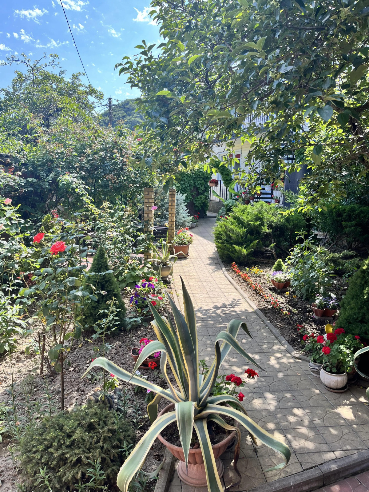 Гостевой дом Черноморье