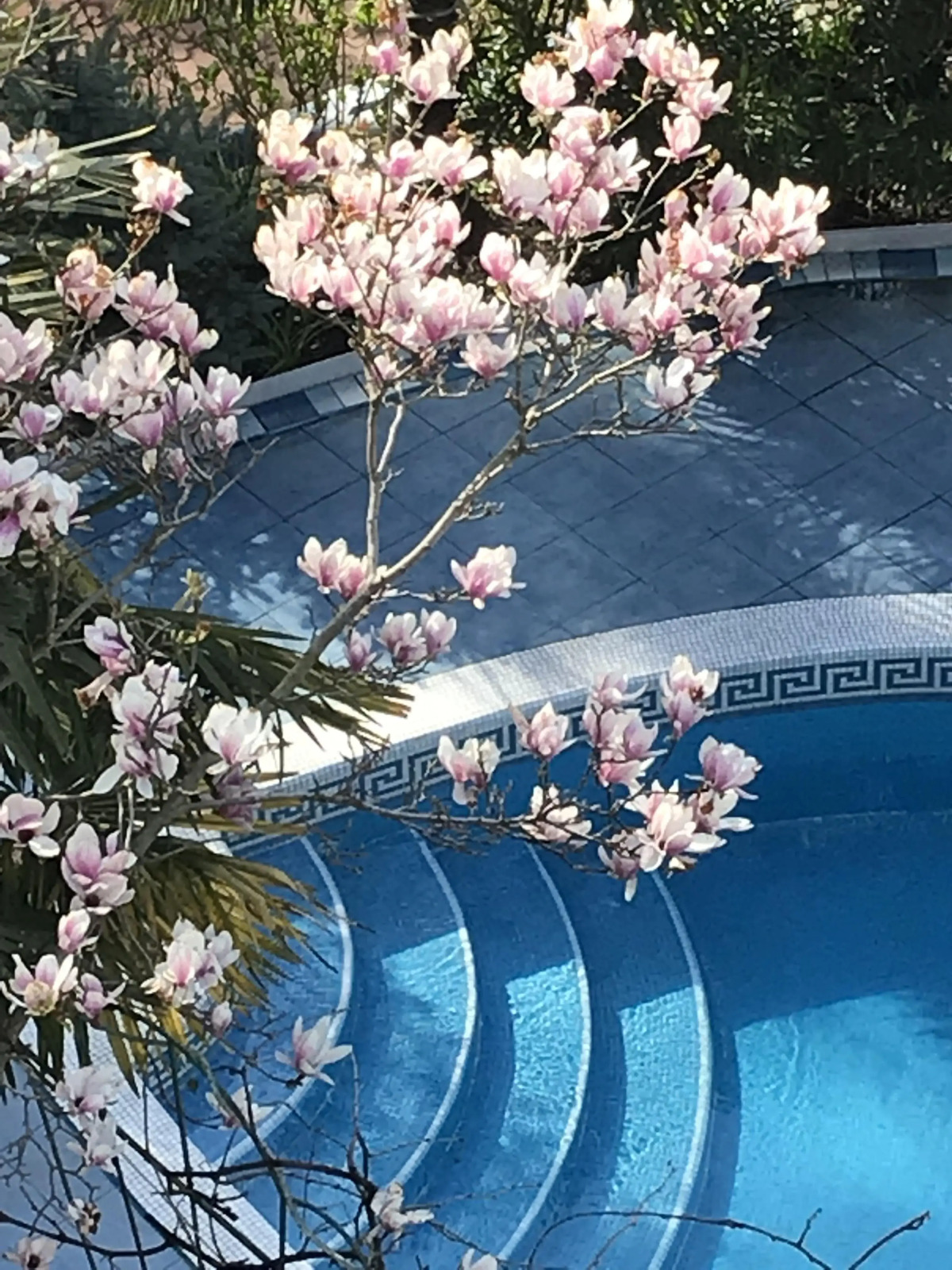 Гостевой дом Вилла Престиж