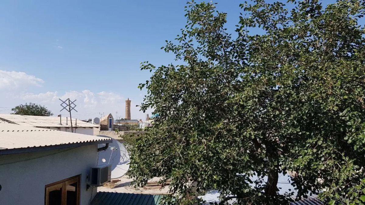 Отель Minorai Hurd