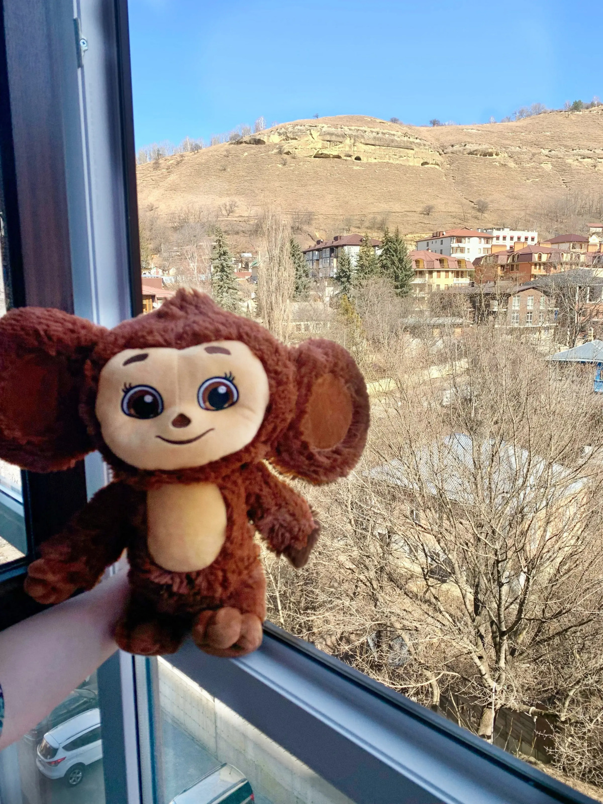 Квартира 300 метров Кисловодский парк