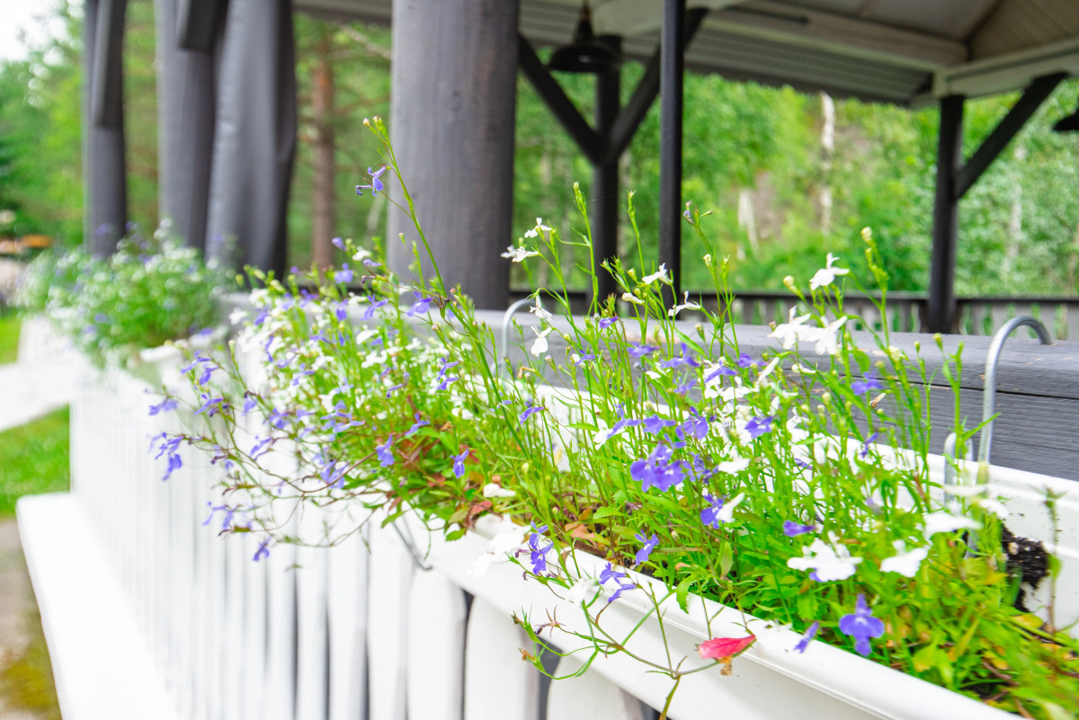 Отель ГК Ареда 1 - Mountain