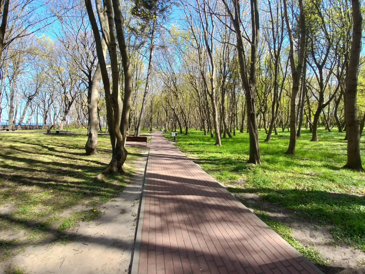 Апартаменты Янтарный