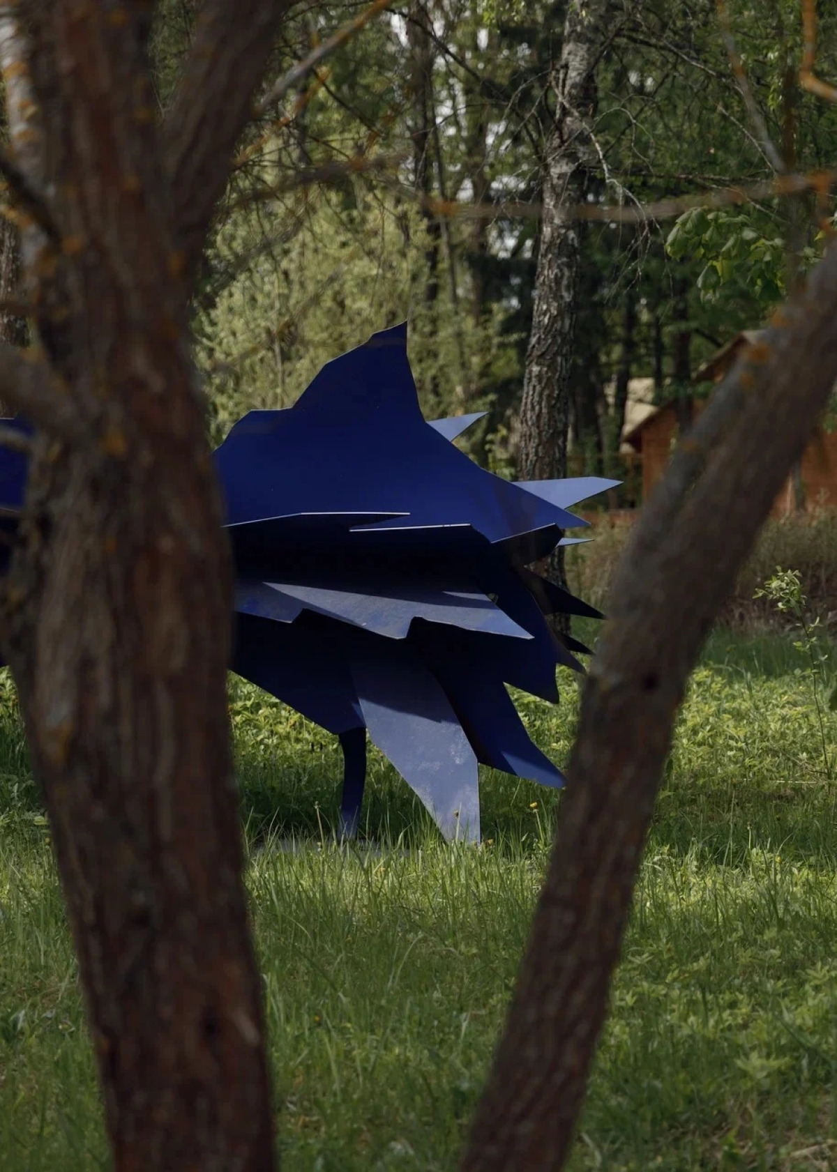 Отель Чехов Апи