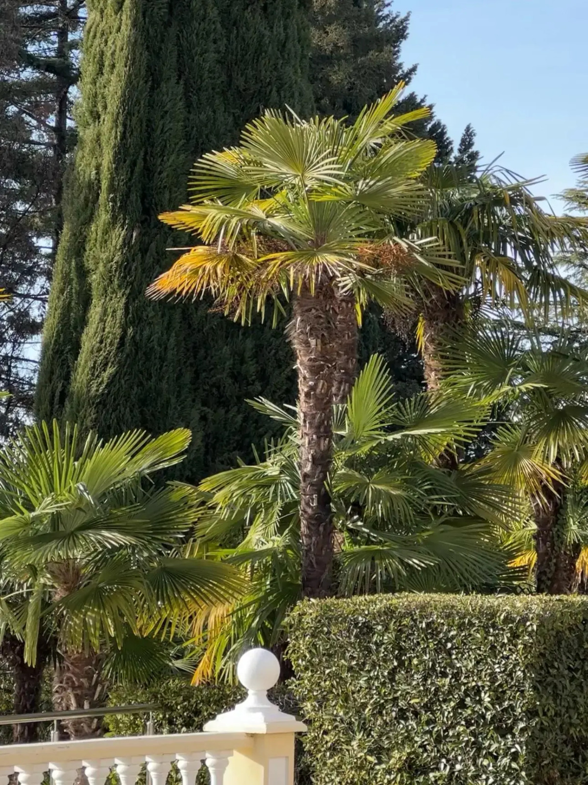 Санаторий Беларусь