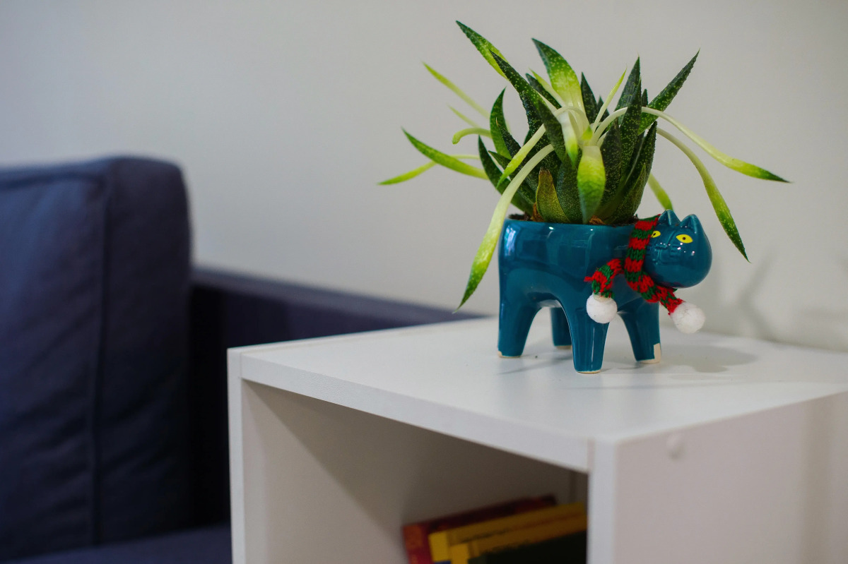 Хостел Как дома и точка