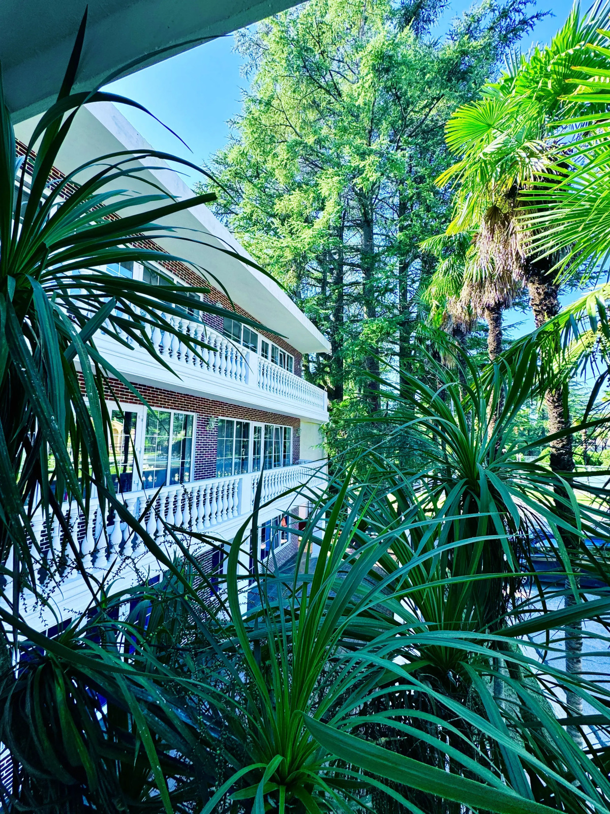 Парк-отель Кедр