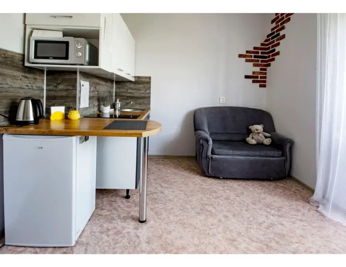 Апартаменты Светлые апартаменты у автовокзала