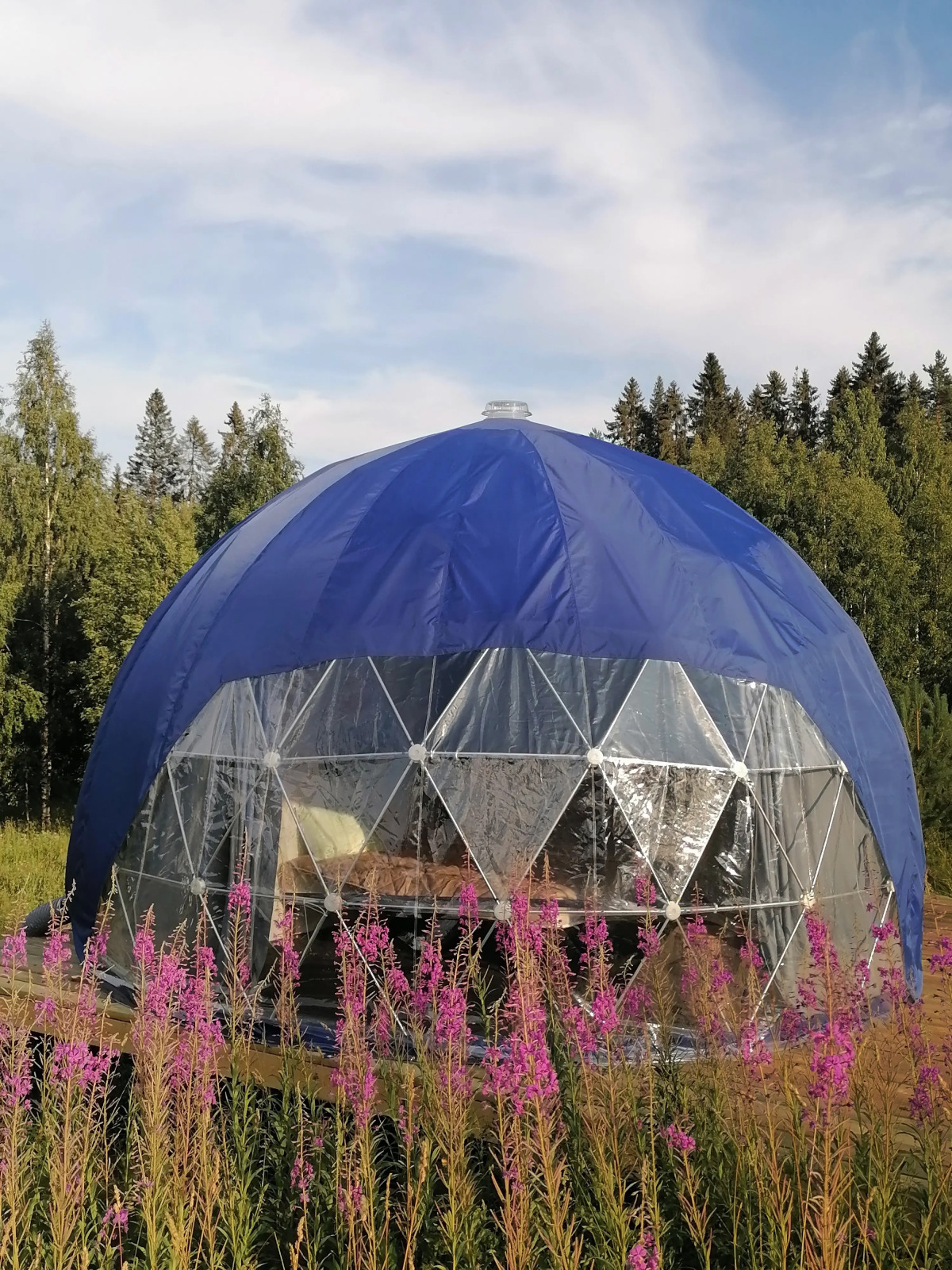 Глэмпинг Папоротник