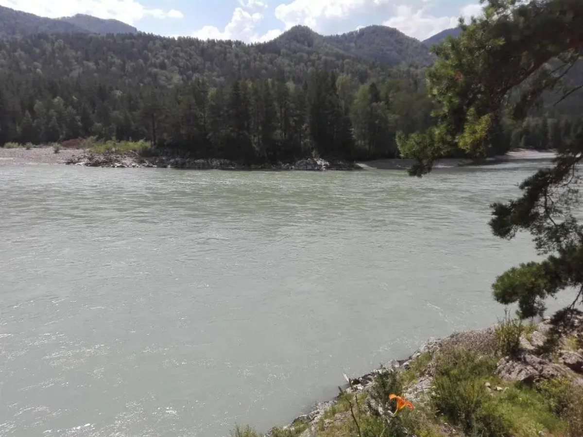 Гостевой дом Альбатрос