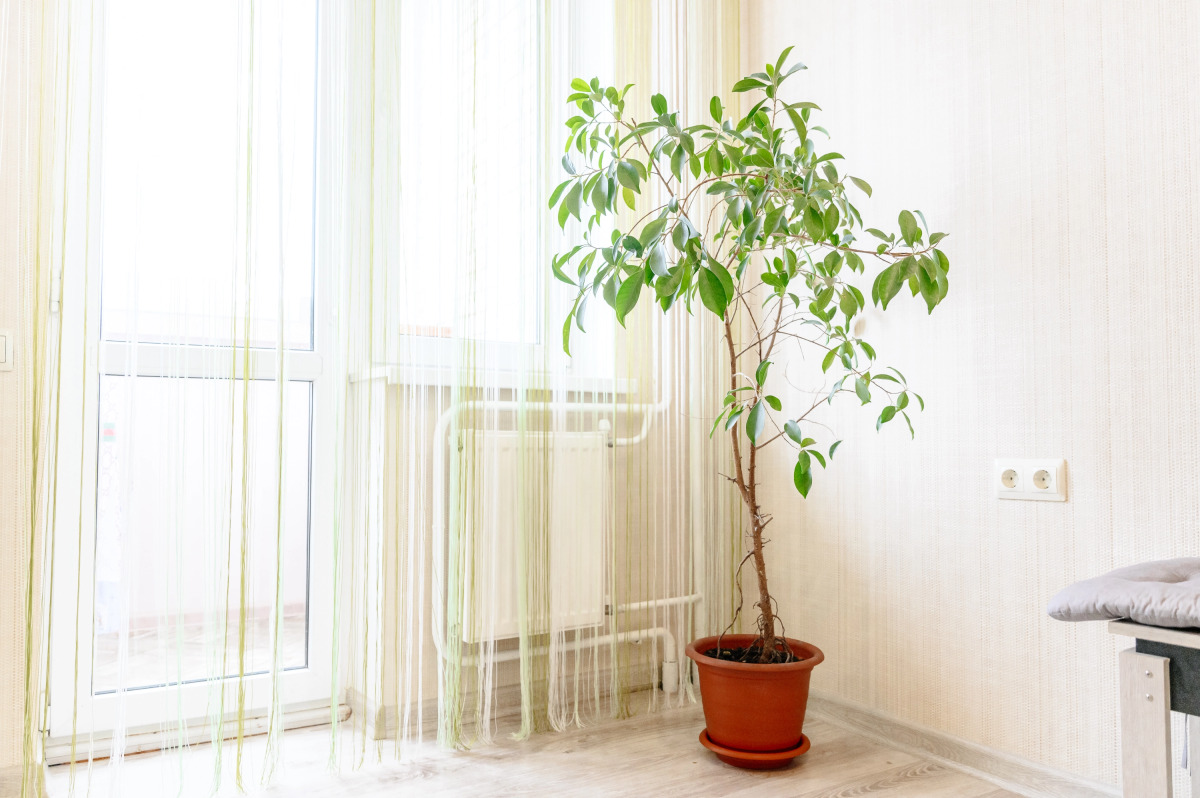 Апартаменты с Видом на Море от LetoApart