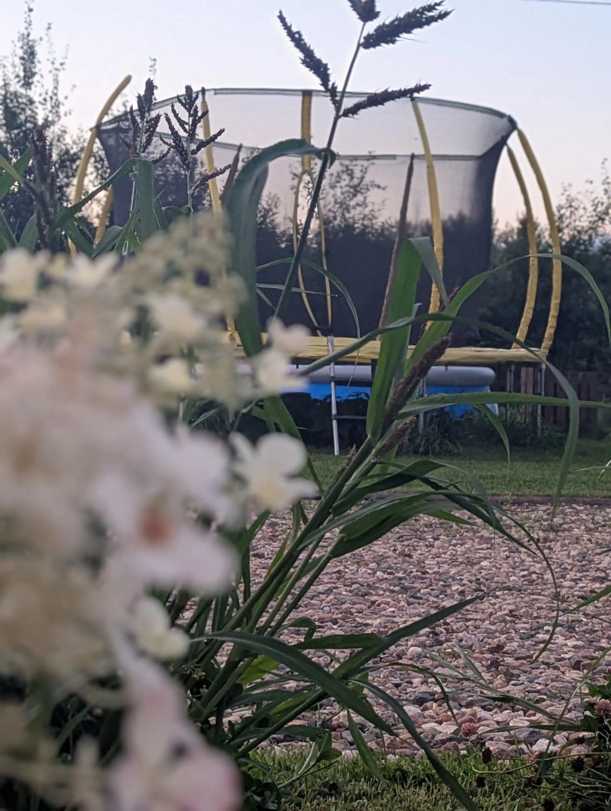 Бунгало Дачный Комплекс ДипДача