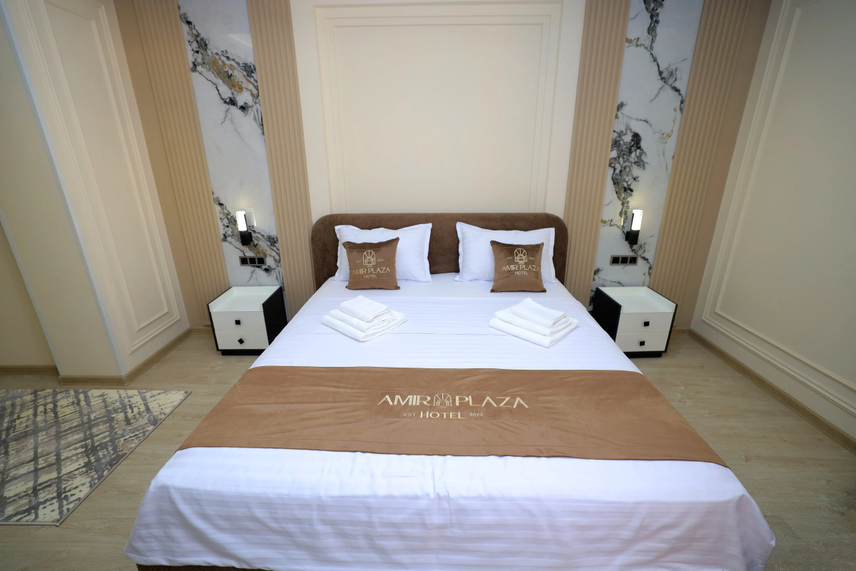 Отель AMIR PLAZA