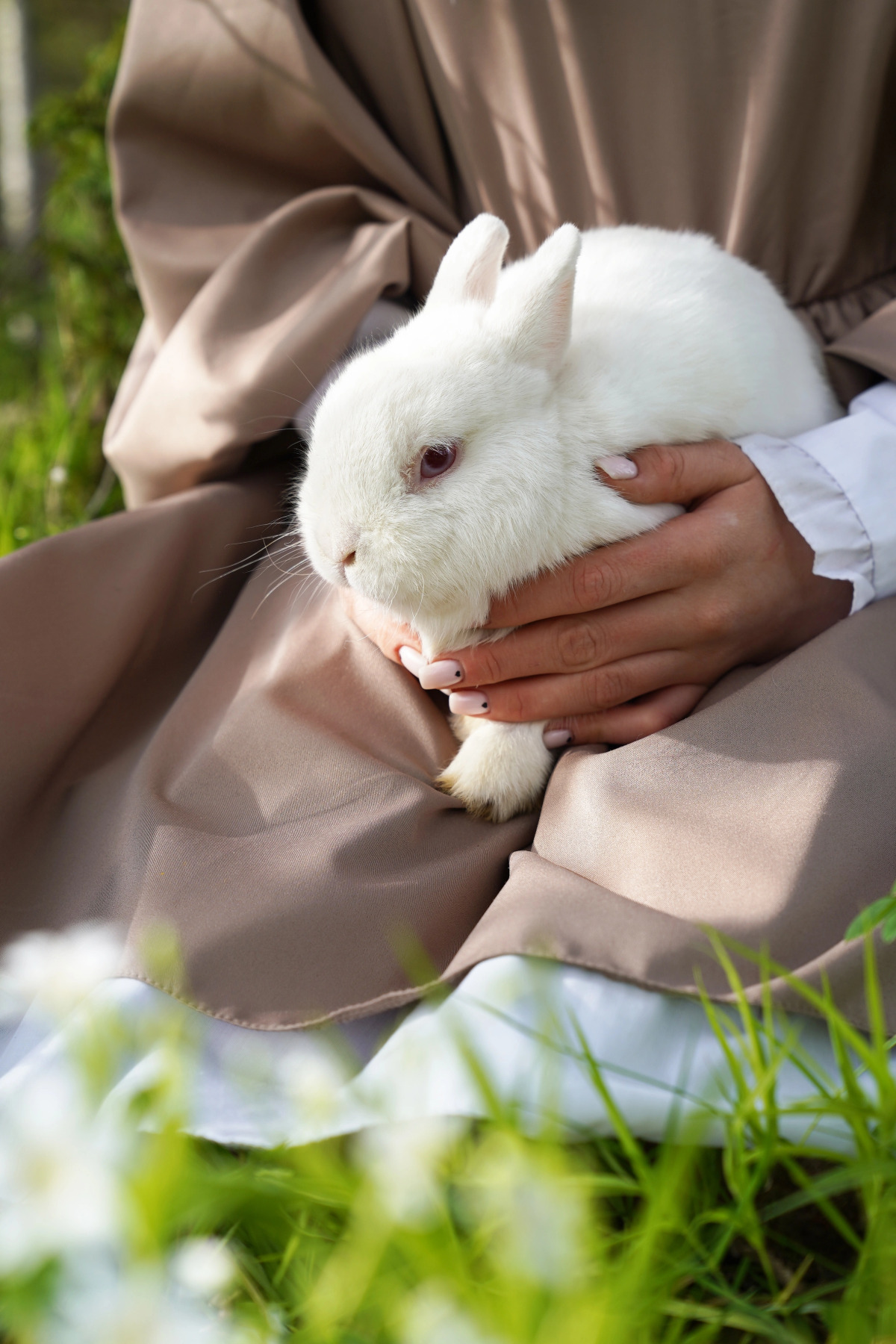 Дом Уютный в стиле Прованс