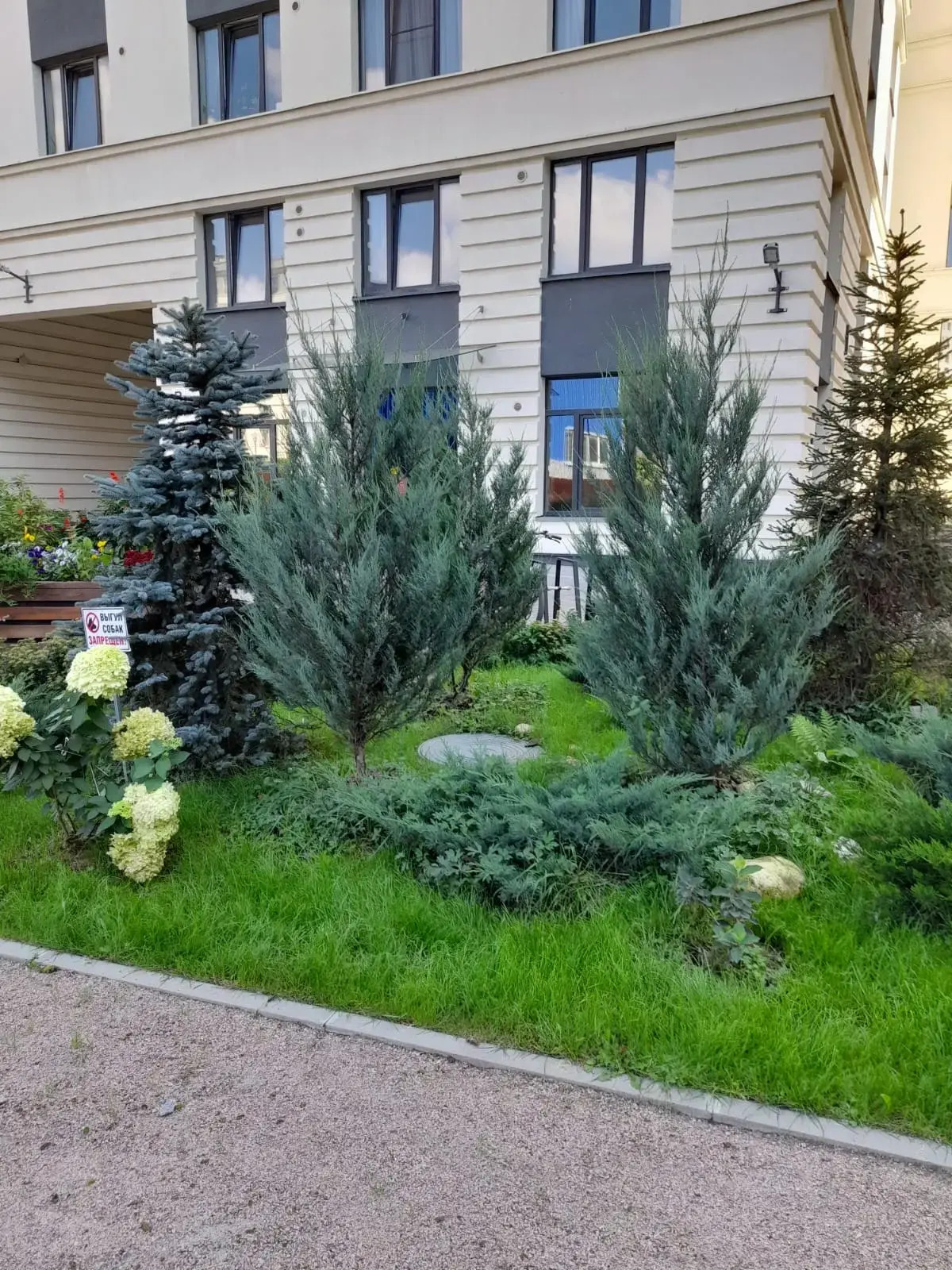 Апартаменты набережная Черной речки дом 3к2