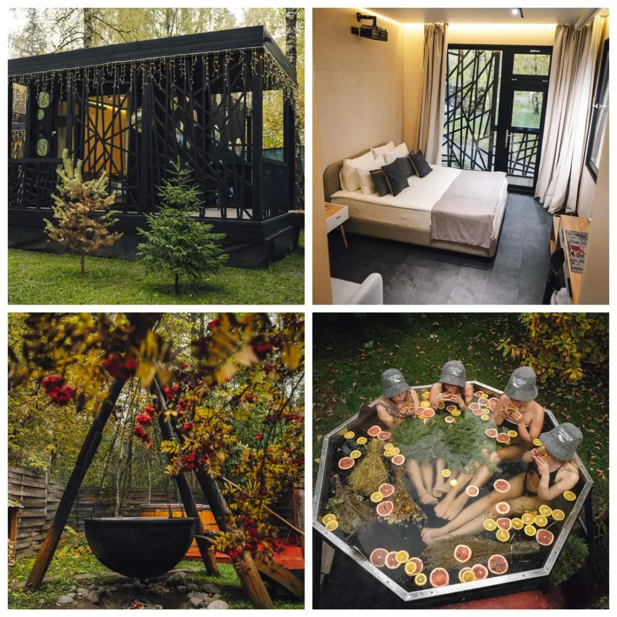 Мини-отель Гуси-Лебеди